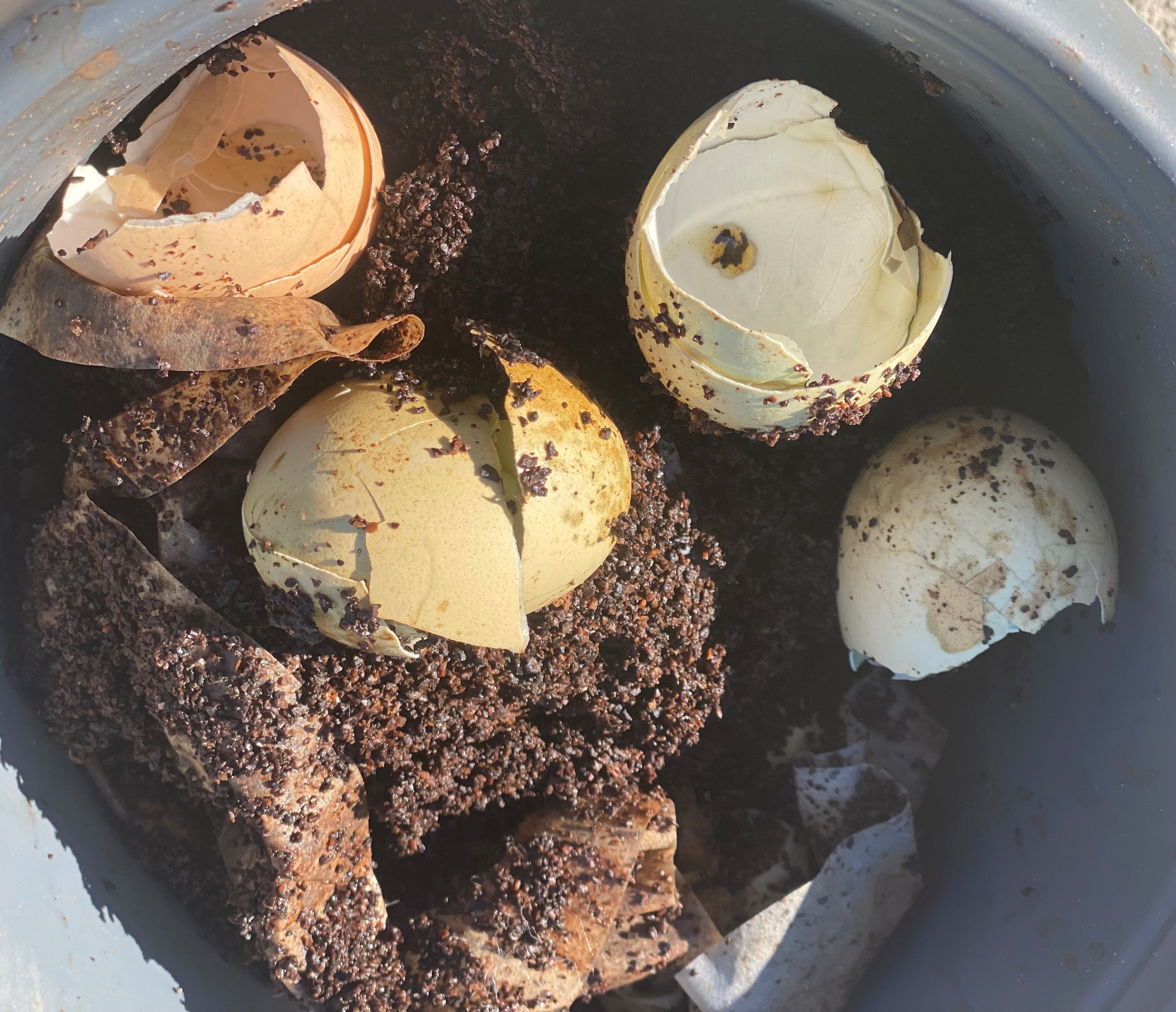 Fertilizing the garden on a budget